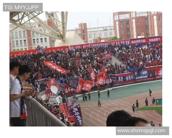 朱雀足球：探索中国足球的新希望与未来发展之路